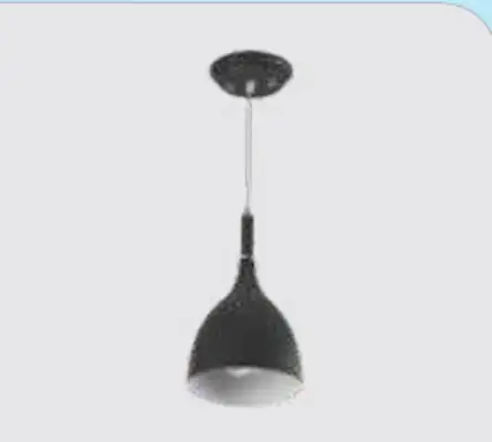 1XGLS / Retrofit Cfl / Led Hanging Lights-2